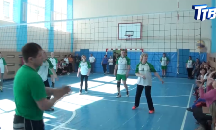 Турнир по волейболу среди трудовых коллективов Троицка